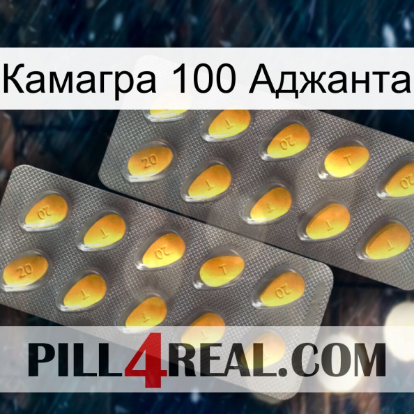 Камагра 100 Аджанта cialis2.jpg